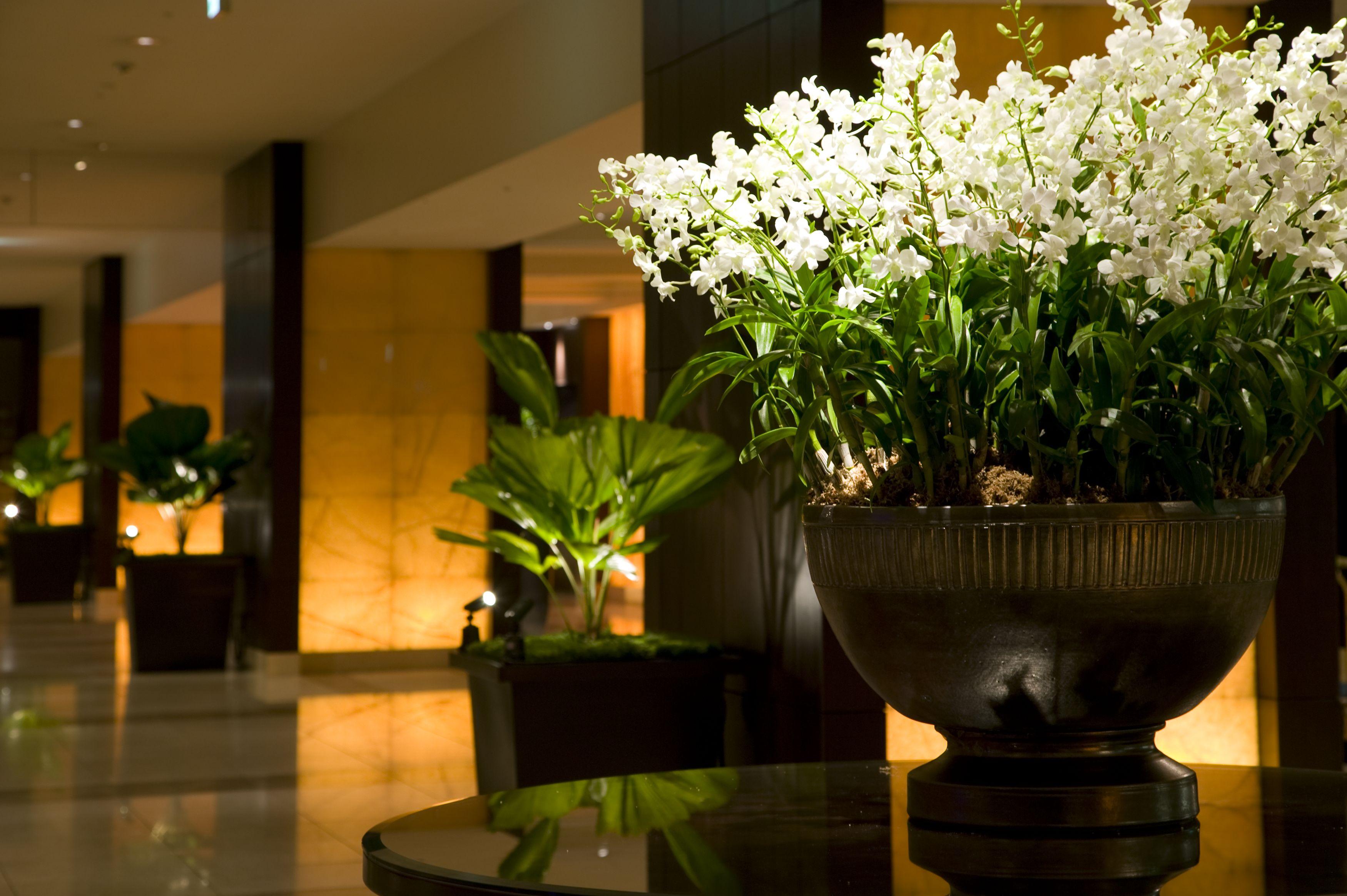 Sheraton Miyako Hotel Осака Экстерьер фото